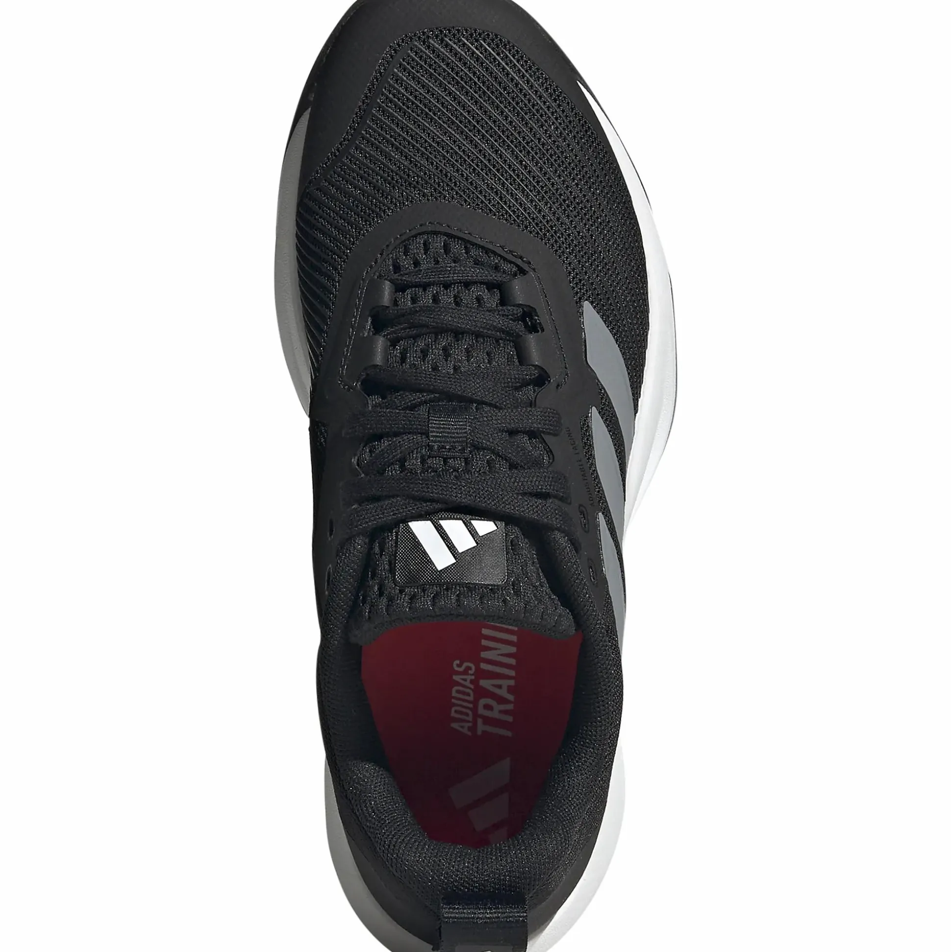 rapidmove 2 trainer w